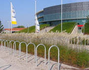 Chinaschilf - Miscanthus sinensis Kleine Fontäne - Ansicht 4